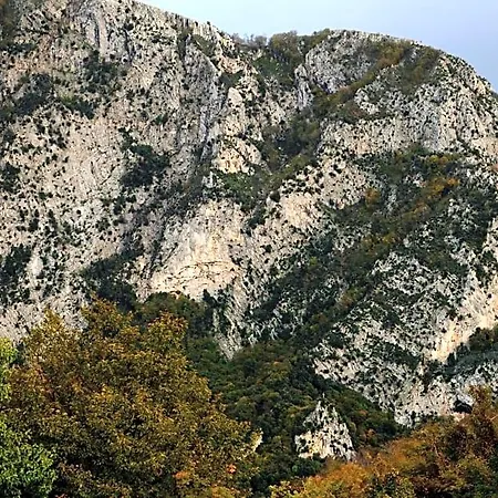 Il Conte Frühstückspension 3*