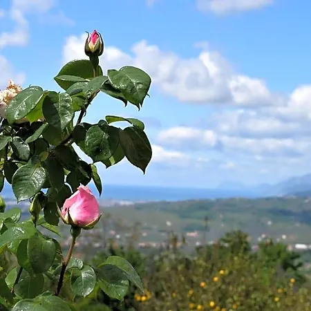 Bed & Breakfast Il Conte 3*