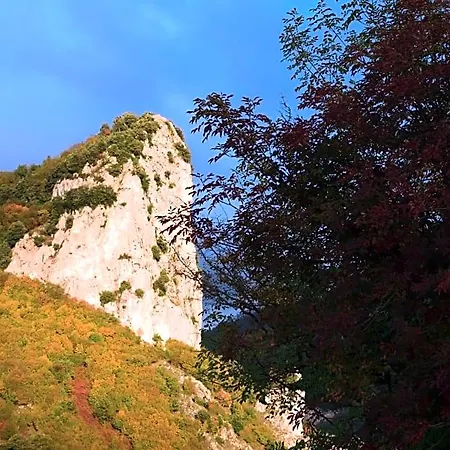 Il Conte Olevano sul Tusciano
